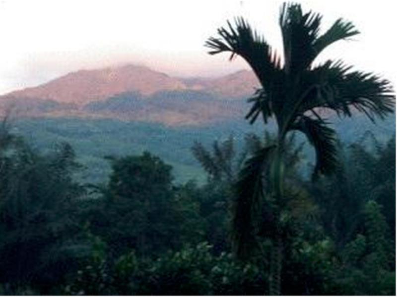 Kelimutu Crater Lakes Ecolodge Desa Kowanara المظهر الخارجي الصورة