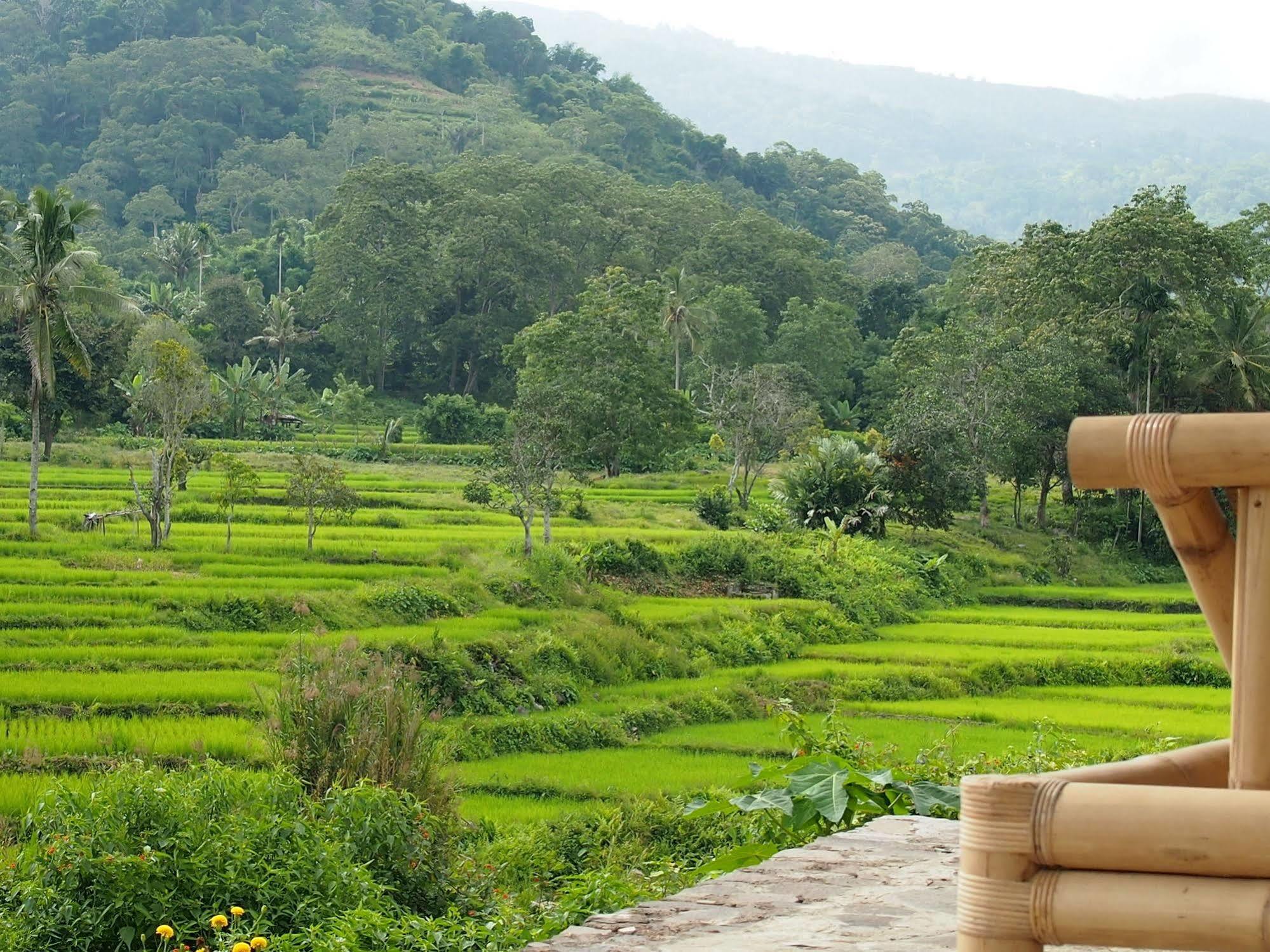 Kelimutu Crater Lakes Ecolodge Desa Kowanara المظهر الخارجي الصورة